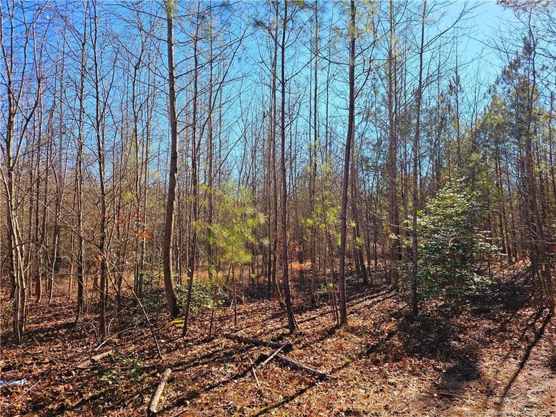 Lot 5 Dragonfly Ln, Sanford, NC 27332