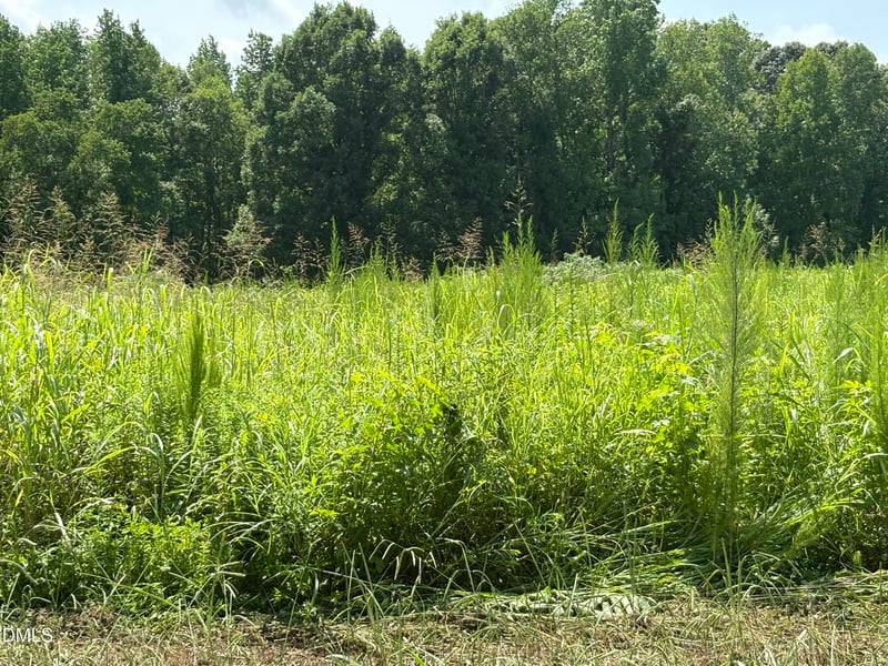 Lot 5 Oak Grove Church Rd Lot 5, Mebane, NC 27302