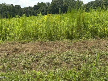 Lot 5 Oak Grove Church Rd Lot 5, Mebane, NC 27302