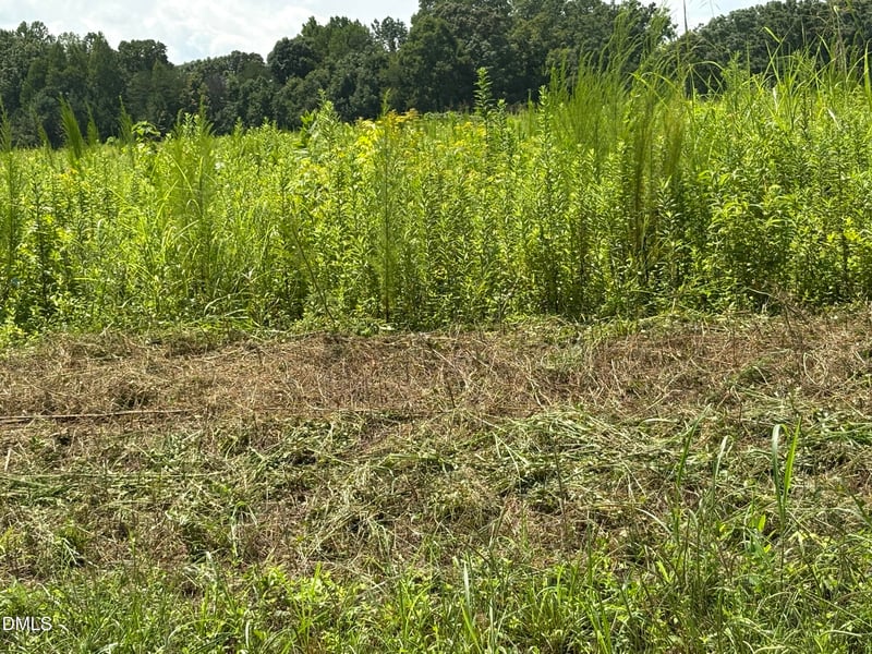 Lot 5 Oak Grove Church Rd Lot 5, Mebane, NC 27302