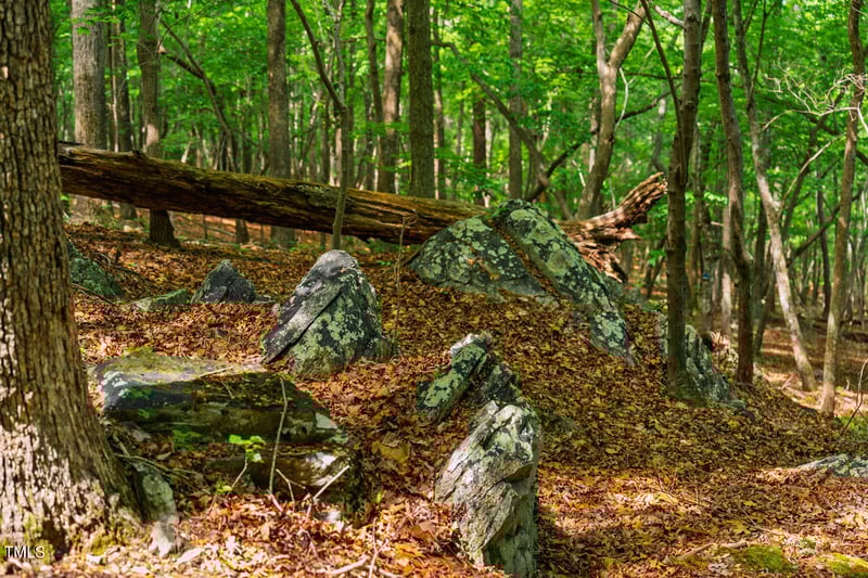 Lot 5 Tilleys Farm Rd, Chapel Hill, NC 27516