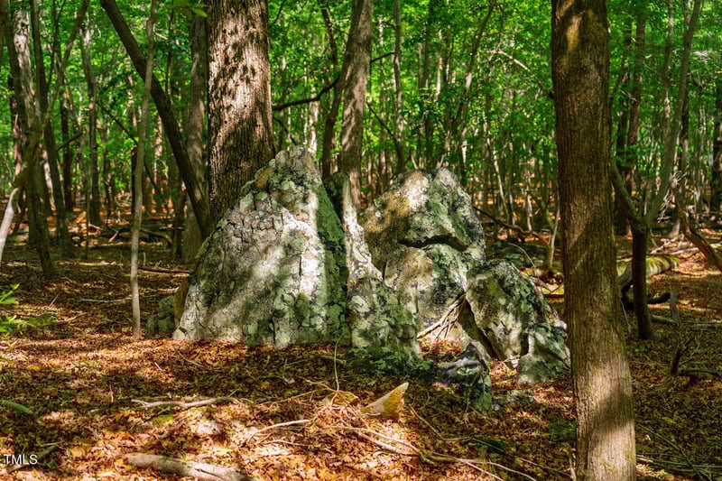 Lot 5 Tilleys Farm Rd, Chapel Hill, NC 27516