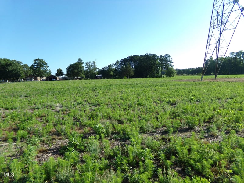 Lot 5 Triskel , Zebulon, NC 27597