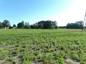 Lot 5 Triskel , Zebulon, NC 27597