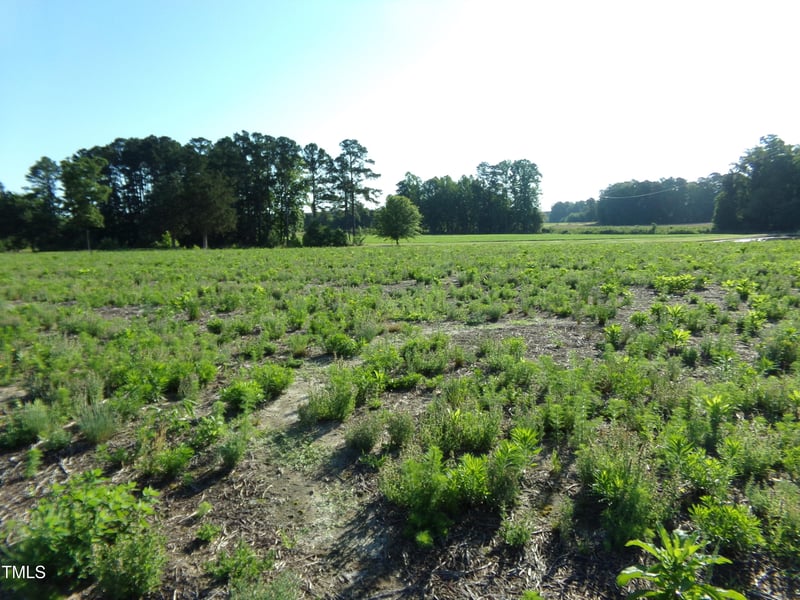 Lot 5 Triskel , Zebulon, NC 27597