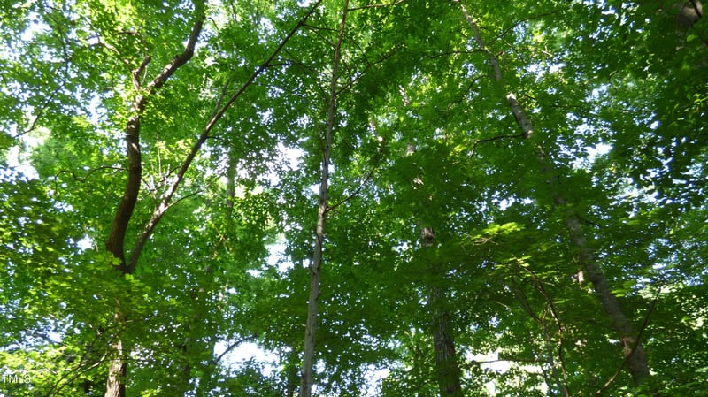 Lot 54 Forest Dr, Graham, NC 27253