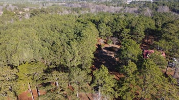 Lot 6 Docs Rd, Lillington, NC 27546