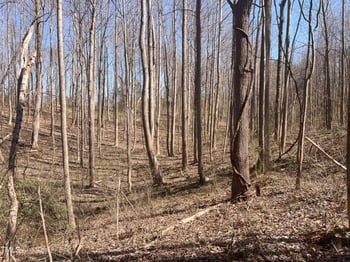 Lot 6 Fishing Creek Rd, Enfield, NC 27823