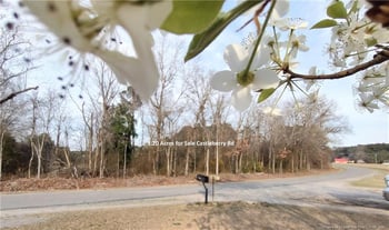 Lot 7 Castleberry Rd, Sanford, NC 27332