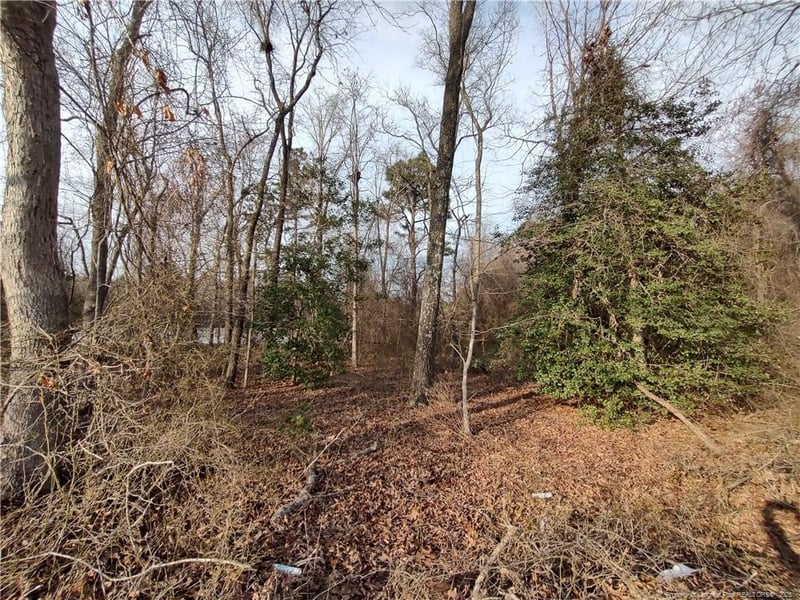 Lot 7 Castleberry Rd, Sanford, NC 27332