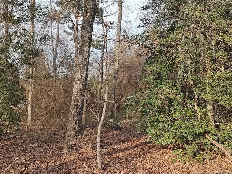 Lot 7 Castleberry Rd, Sanford, NC 27332