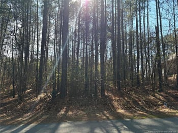 Lot 7 Lakeshore Dr, Wagram, NC 28396