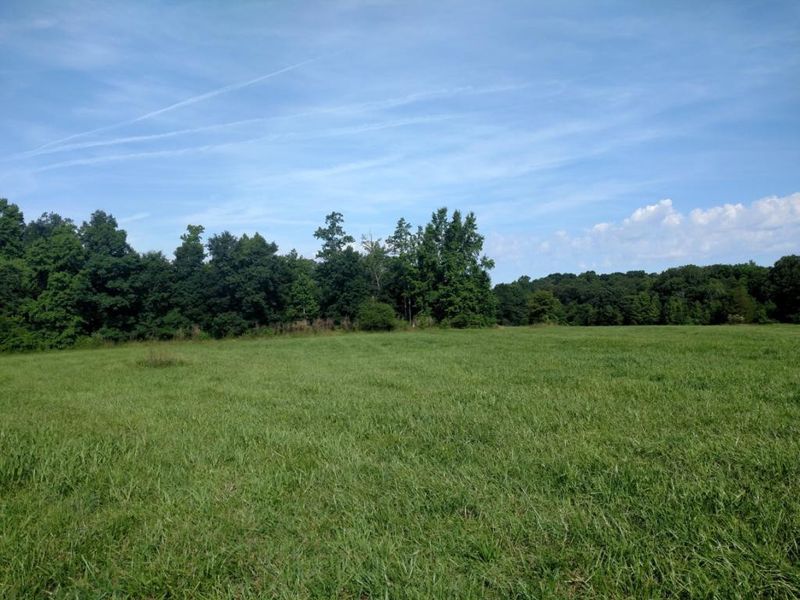 Lot 7 Whitehouse, Snow Camp, NC 27349