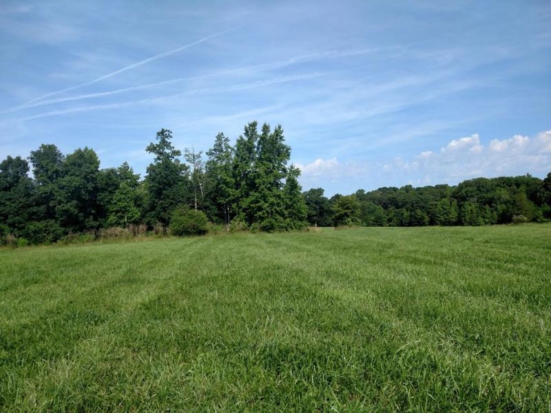Lot 7 Whitehouse, Snow Camp, NC 27349
