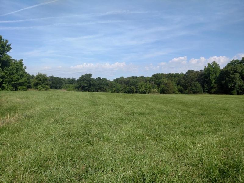 Lot 7 Whitehouse, Snow Camp, NC 27349