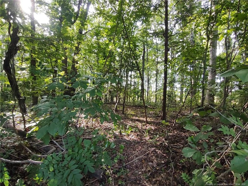 Lot 8 Lemon Springs Rd, Sanford, NC 27332