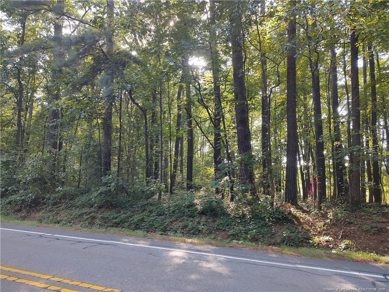 Lot 8 Lemon Springs Rd, Sanford, NC 27332