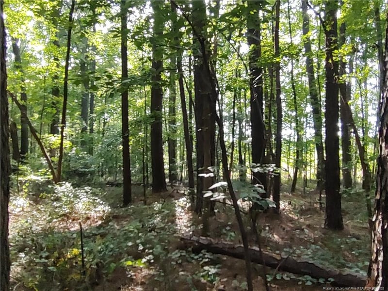 Lot 8 Lemon Springs Rd, Sanford, NC 27332