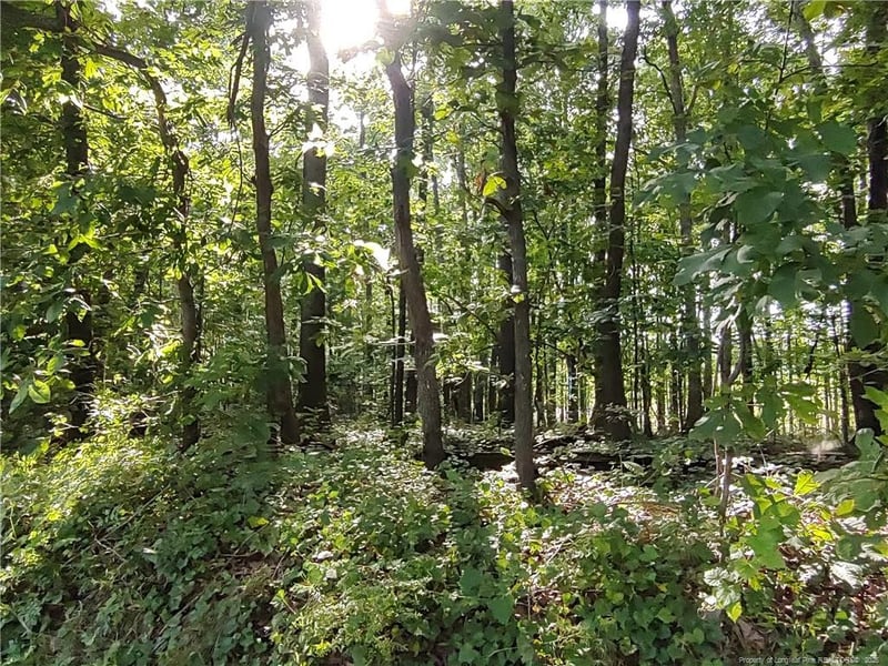 Lot 8 Lemon Springs Rd, Sanford, NC 27332