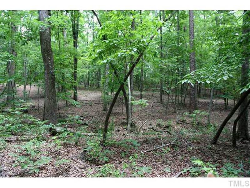 Lot A1 Thomas Berry Way Lot A1, Chapel Hill, NC 27516