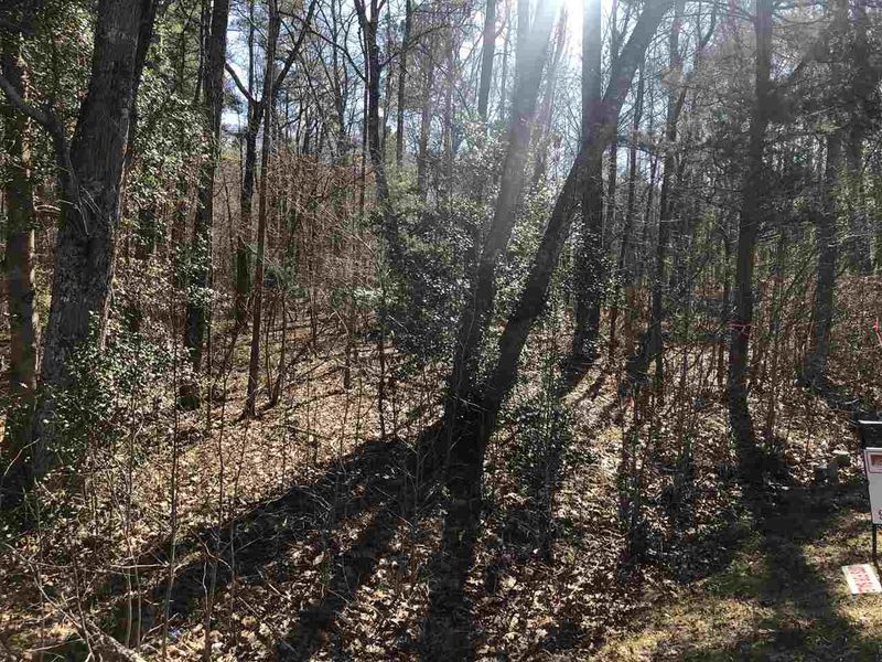 Lot A2 Moore Mountain Rd Lot A2, Pittsboro, NC 27312