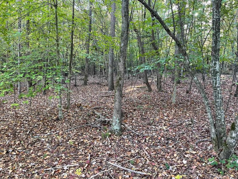 Lot E Mt Olive Church Rd Lot E, Pittsboro, NC 27312