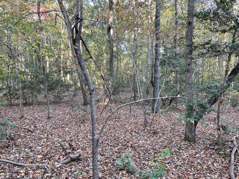 Lot E Mt Olive Church Rd Lot E, Pittsboro, NC 27312