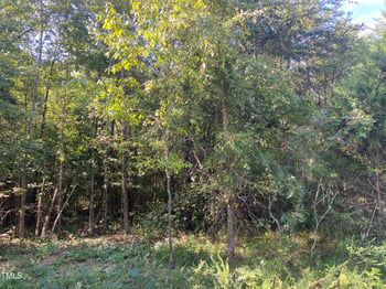 Lots 11-14 Lenore Dr Lot 11-14, Burlington, NC 27217
