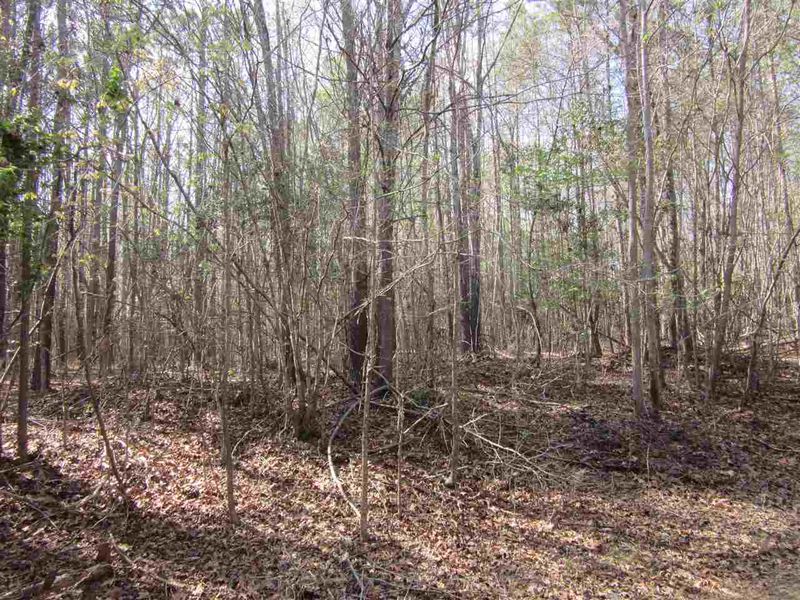 Lots 2 -3 Driver Rd Lot 2&3, Middlesex, NC 27557