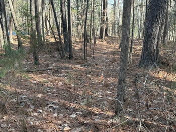 Lots 4 - 5 Simon Collie Rd Lot 4 AND 5, Louisburg, NC 27549