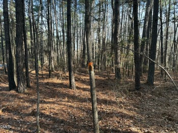 Lots 4 - 5 Simon Collie Rd Lot 4 AND 5, Louisburg, NC 27549