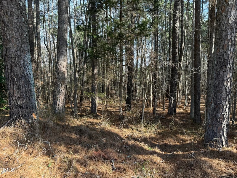 Lots 4 - 5 Simon Collie Rd, Louisburg, NC 27549