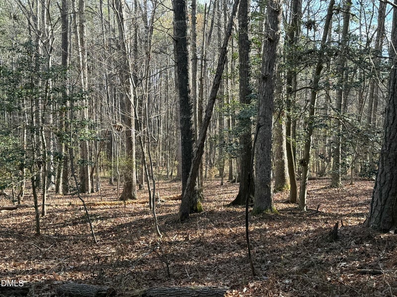 Lots 4 - 5 Simon Collie Rd, Louisburg, NC 27549