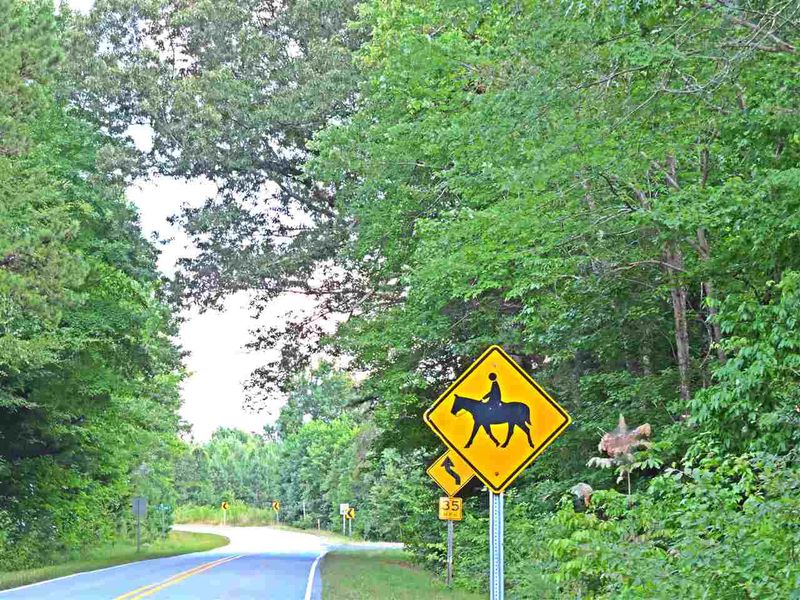 Lots C - D Wesleyan Rd Lot C & D, Roxboro, NC 27574