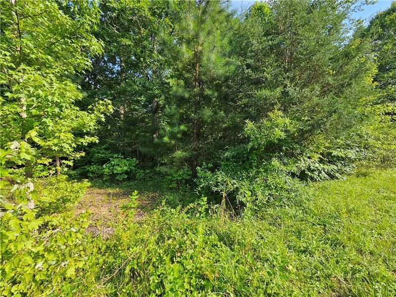 LT 14 Timber Creek Trl, Graham, NC 27253