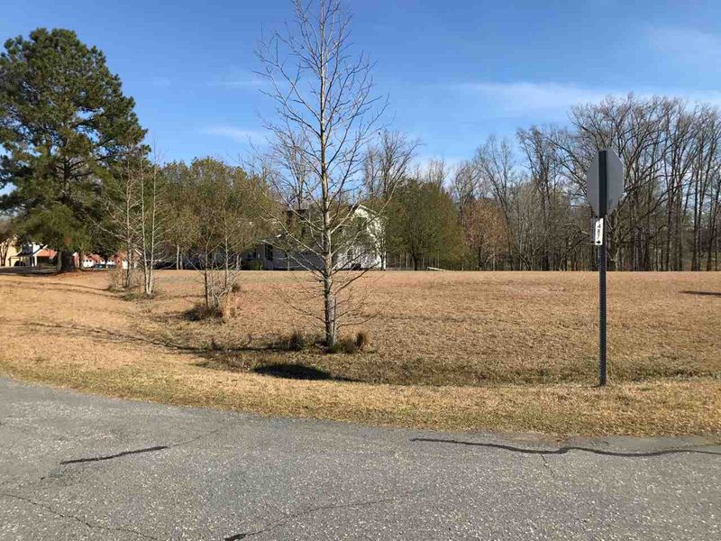 LT54 Mountain Laurel Pl Lot 54, Angier, NC 27501