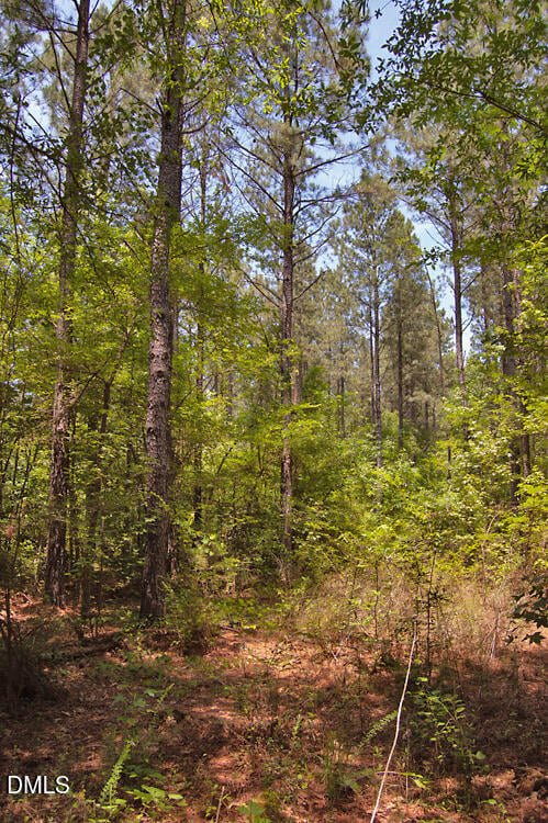M G F Ball Rd Lot M, Louisburg, NC 27549