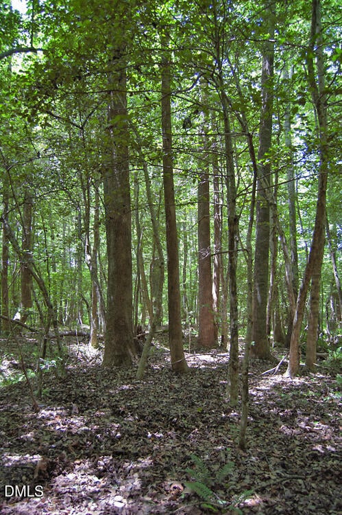 M G F Ball Rd Lot M, Louisburg, NC 27549