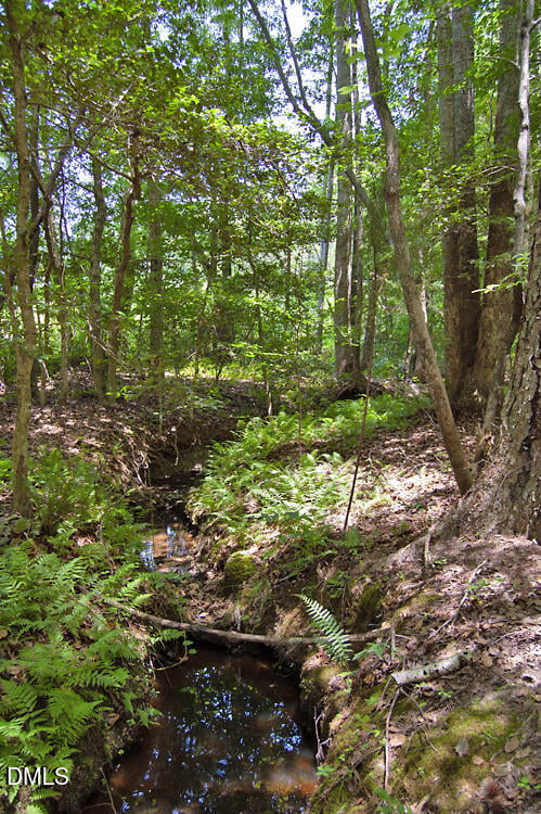 M G F Ball Rd Lot M, Louisburg, NC 27549