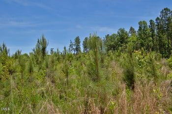 M G F Ball Rd Lot M, Louisburg, NC 27549
