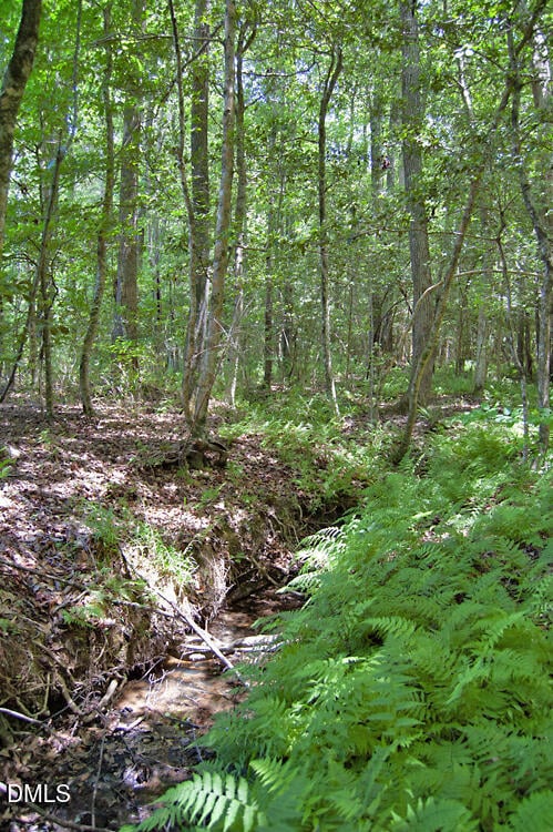N G F Ball Rd Lot N, Louisburg, NC 27549