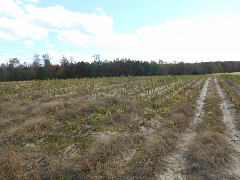 O Willie Pace Rd, Burlington, NC 27217
