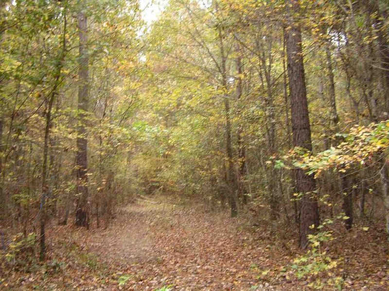 Parcel G N Plank Rd Lot G, Sanford, NC 27330