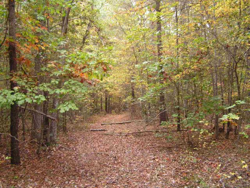 Parcel G N Plank Rd Lot G, Sanford, NC 27330