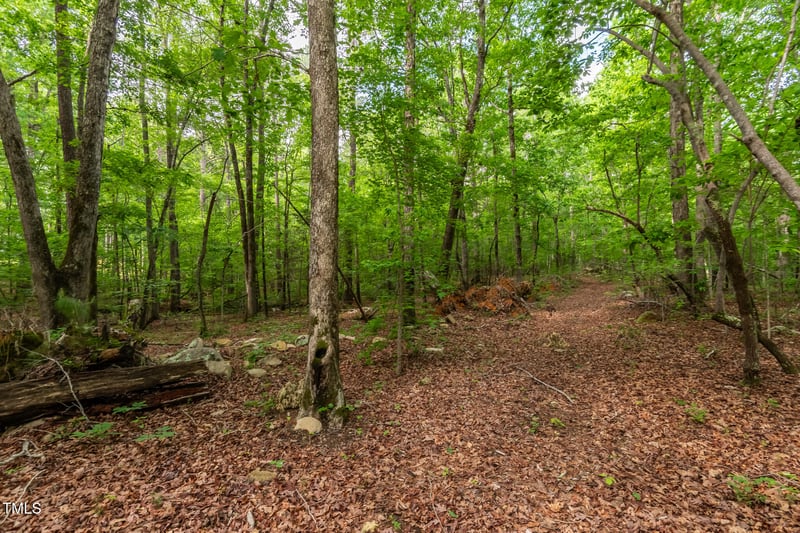 T B D Coeur Du Bois Ln, Chapel Hill, NC 27516