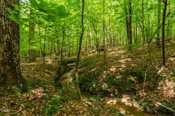 T B D Coeur Du Bois Ln, Chapel Hill, NC 27516