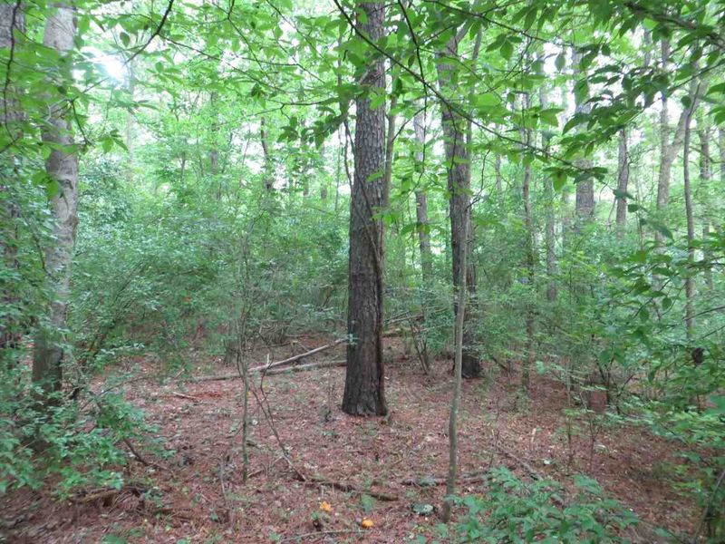 TBD 10th Ave Lot 4A, Pittsboro, NC 27312
