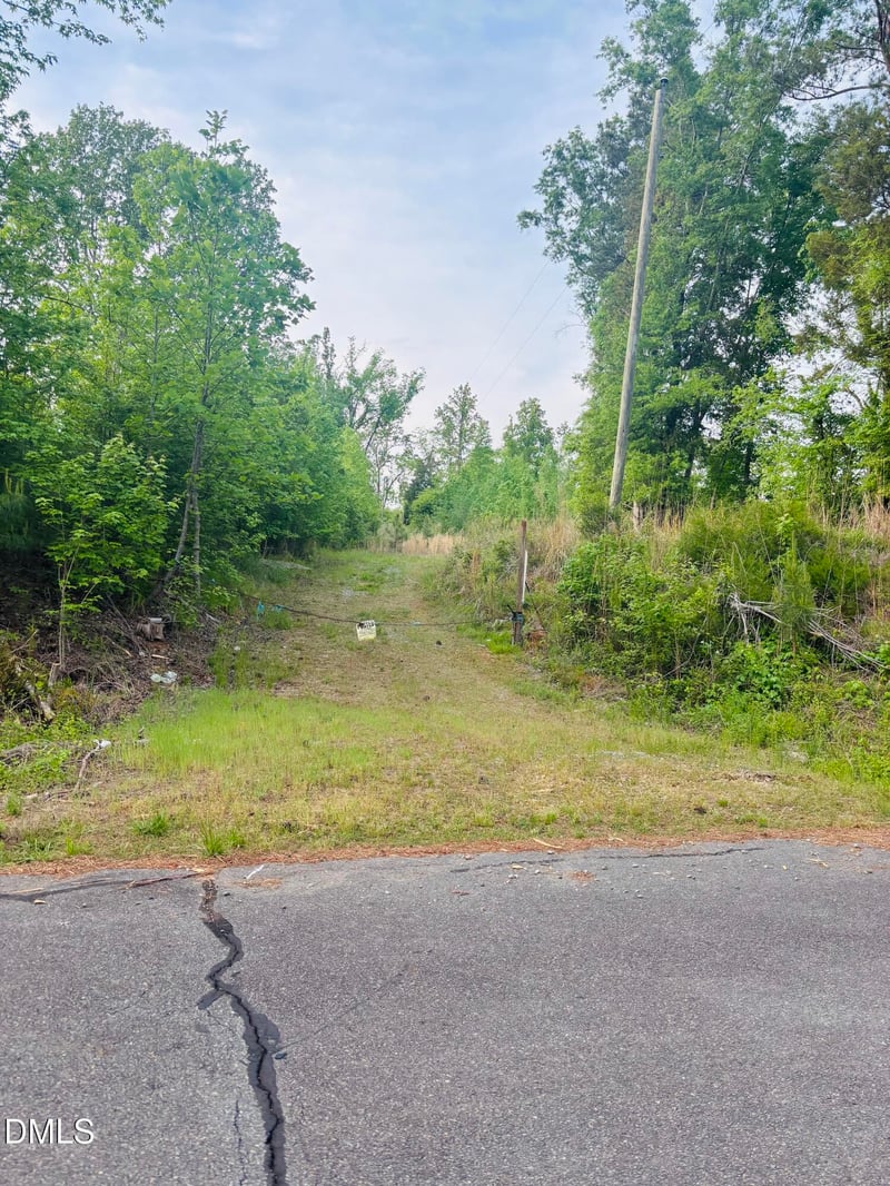 Tbd Alston Horton Service Rd Lot 1, Pittsboro, NC 27312