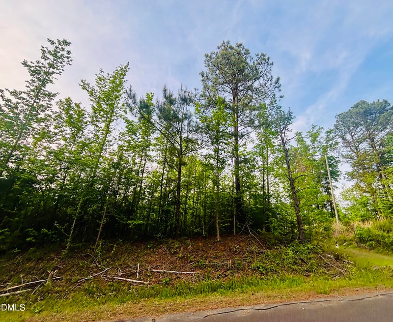 Tbd Alston Horton Service Rd Lot 1, Pittsboro, NC 27312