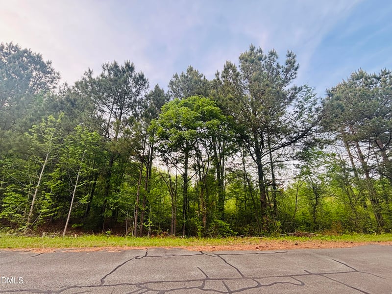 Tbd Alston Horton Service Rd Lot 1, Pittsboro, NC 27312